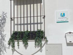 Casa Abuelo Juan - Benaocaz- 2 dormitorios