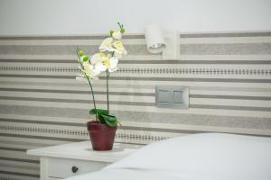 Numancia1-4B Ático5B