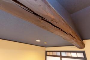 INN Plus General Castle Nijo