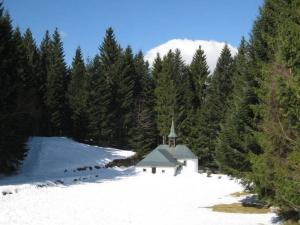 Chalets Magnificent wooden chalet with sauna : photos des chambres