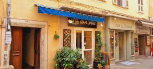 Appartements Studio Rue Fesch - Vieille Ville : photos des chambres