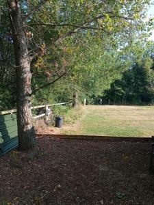 Cabin Dan