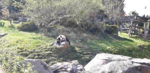 B&B / Chambres d'hotes LES HIRONDELLES : photos des chambres