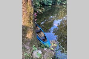 STUDIO indépendant Segré