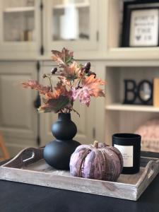 A modern Barn house in Brusno