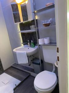 App 510 Panoramic Hohegeiß mit Fernblick