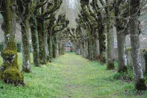 B&B / Chambres d'hotes Chateau La Gavolerie : photos des chambres