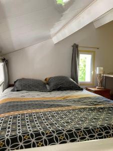 Studio Les Terrasses Perchées sur la rivière à Segré