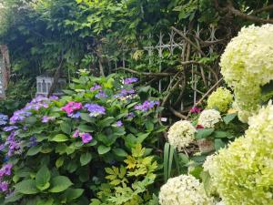 Appartements Le petit nid d'aigle - Giverny : photos des chambres