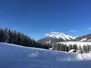 Ferienhaus Alpenblick