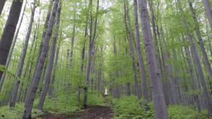 Rodinný penzion U Hafana a U Hospůdky