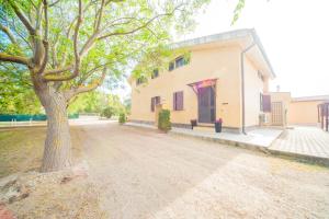 Bonsai B&B Alghero img32