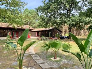 Maisons de vacances House de la Canopee, Swimming pool, Lake, Forest, large garden and WIFI : photos des chambres