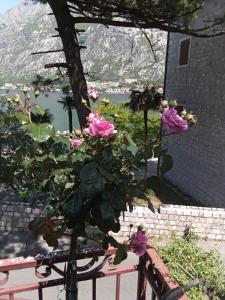 Apartmani Braca2