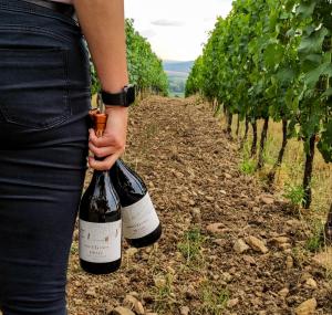 Orosz Gábor Vendégház Mád