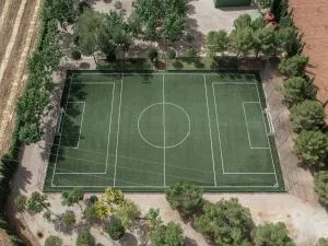 La Finca de Tomás - 5 Estrellas - Fútbol 7, Piscina Cubierta & Pádel - Miguel Esteban