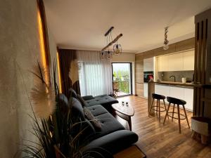 SPA Apartament Jenny Ski&Fun widok na Skrzyczne i skocznię "Skalite"