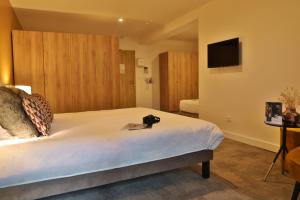 SOWELL HOTELS Mont Blanc et SPA : photos des chambres