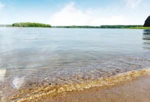 Domek pod Sosnami z posesją na wyłączność Mazury Prażmowo