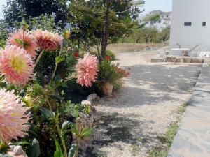 Casa rural As Túnel