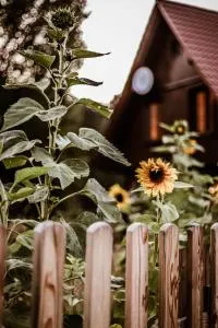 Kaszubski Dom Podcieniowy Bohema - Kiełpino