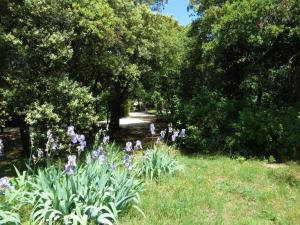 Villas Villa raffinee a Orange avec piscine privee : photos des chambres