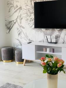 Apartament w Słupsku z klimatyzacją balkonem parkingiem