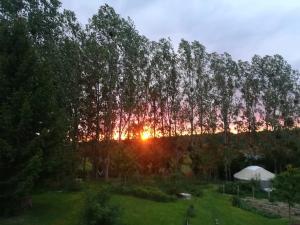 La yourte au fonds du jardin