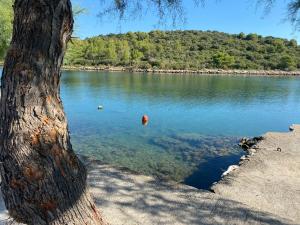 Apartman Put Svete Kate