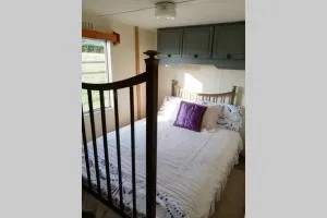 Retro Mobile glamping - Near Dartmoor walks - Spreyton