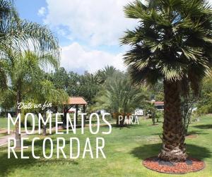 Hotel Palmas Teotihuacán