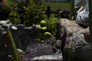 Hotel Palmas Teotihuacán