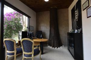 Hotel Palmas Teotihuacán