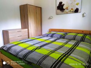 Holiday home in Svahova - Erzgebirge 41640