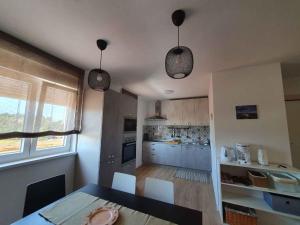 Apartments in Porec  Istrien 41774