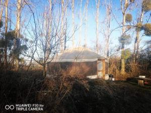 La yourte au fonds du jardin