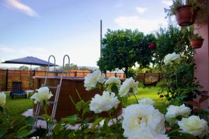 Rosinha Country House