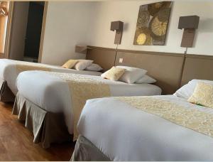 Hotels Hotel Cote Sud Leman : photos des chambres