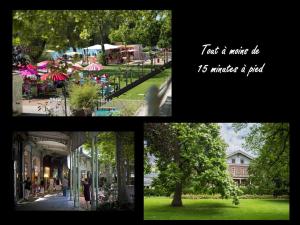 Appartements Vichy Gare - Parking - Cosy - Jardin - labellise Clevacances 3 etoiles : photos des chambres