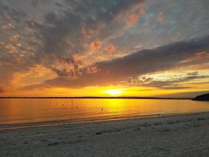 Appartements L'elephant Blanc de ConcarnOLoc : photos des chambres