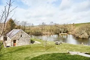 Penuwch Boathouse- Lakeside rural cottage ideal for families with indoor heated pool - Banc-y-felin