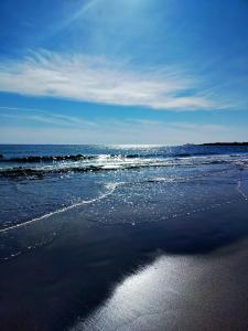 Appartements L'elephant Blanc de ConcarnOLoc : photos des chambres