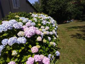 Maisons de vacances Le POULAILLER : photos des chambres