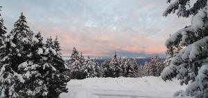 Chalets Grand Chalet Standing Avec Jacuzzi a Chamrousse ski 1750 : photos des chambres