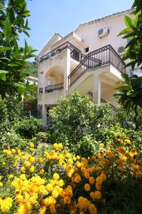 Apartments Raičević