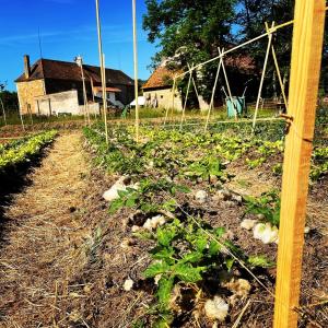 B&B / Chambres d'hotes Moulin de Pras : photos des chambres