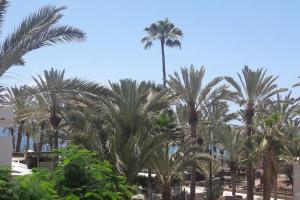 Guayero, Bel appartement à 50m de la mer