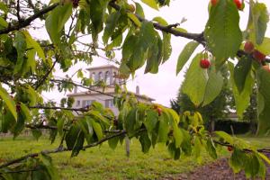 Maisons d'hotes Chateau Trillon : photos des chambres