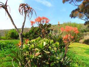 Ashanti House - Living The Breede