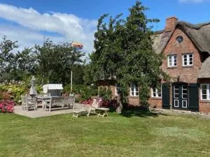 Traumstraße Bollis Huis 1 - Borgsum